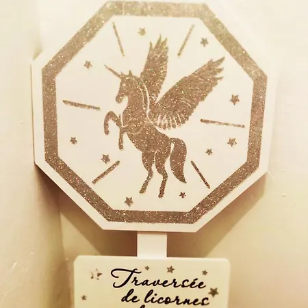 2 88m2 Extra Centre Historique Vaste Convivial Et Cosy Apartament Cahors